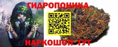 спиды Заводоуковск