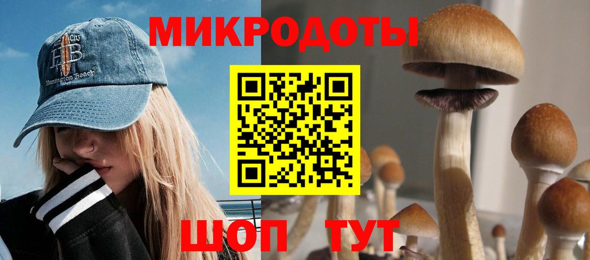 Галлюциногенные грибы мицелий  Вход с VPN  Псилоцибиновые грибы Psilocybine cubensis  купить закладку  Лениногорск 